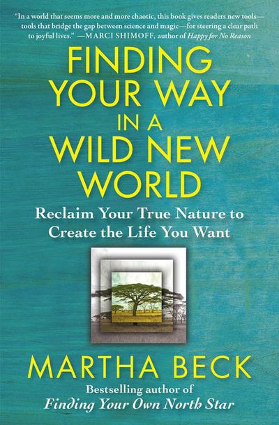 Finding Your Way in a Wild New World