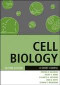 Cell Biology