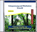 Entspannung Und Meditation Urwald