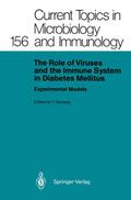 The Role of Viruses and the Immune System in Diabe