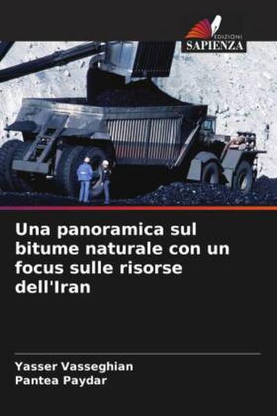 Una panoramica sul bitume naturale con un focus sulle risorse dell’Iran