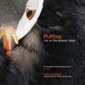 Puffins