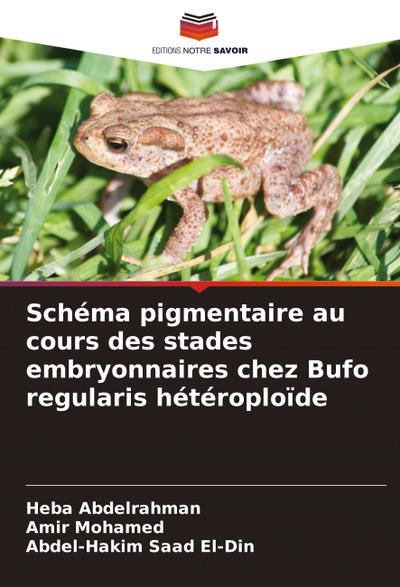 Schéma pigmentaire au cours des stades embryonnaires chez Bufo regularis hétéroploïde