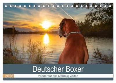 Deutscher Boxer (Tischkalender 2026 DIN A5 quer), CALVENDO Monatskalender
