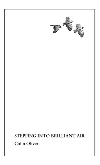 Stepping Into Brilliant Air