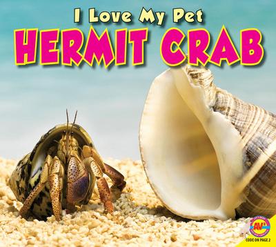 Hermit Crab