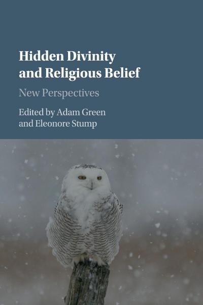 Hidden Divinity and Religious Belief