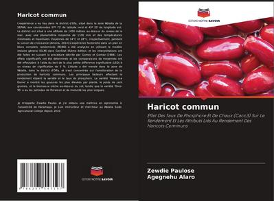 Haricot commun