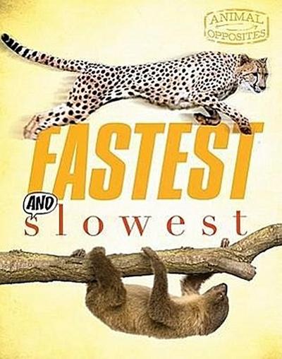 Fastest and Slowest