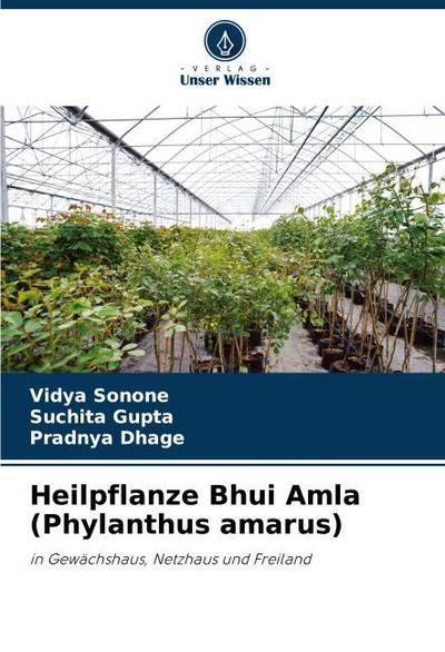 Heilpflanze Bhui Amla (Phylanthus amarus)