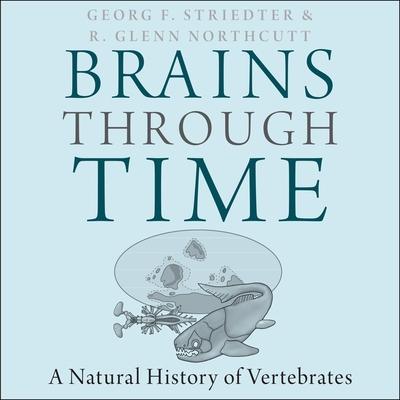 Brains Through Time Lib/E: A Natural History of Vertebrates