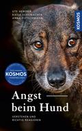 Angst beim Hund