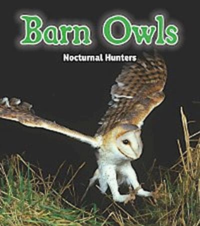 Barn Owls