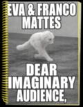 Eva & Franco Mattes. Dear Imaginary Audience