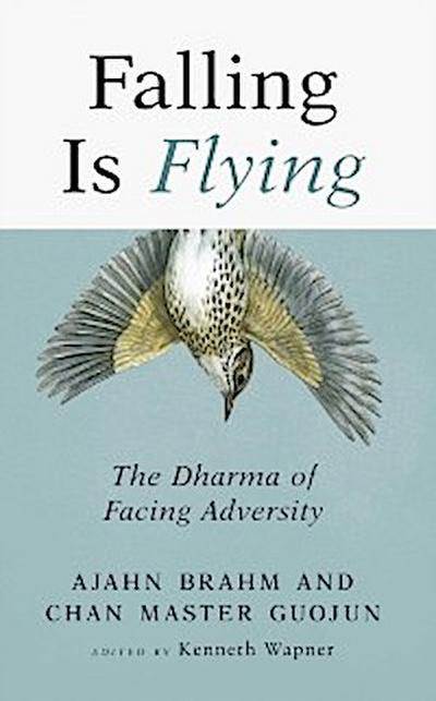 Falling is Flying