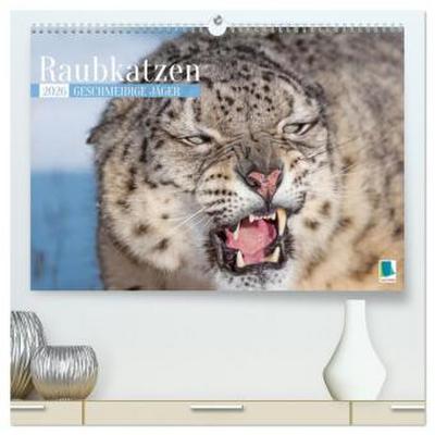 Raubkatzen: Geschmeidige Jäger (hochwertiger Premium Wandkalender 2026 DIN A2 quer), Kunstdruck in Hochglanz