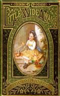 Little Wideawake - A story book for little children
