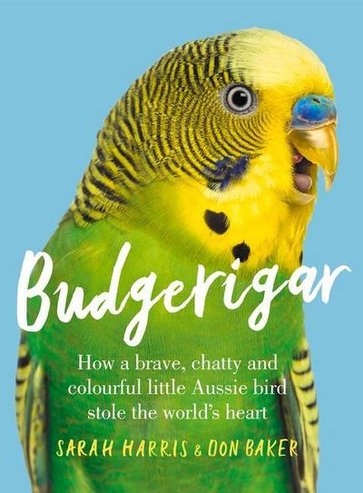 Budgerigar: How a Brave, Chatty and Colourful Little Aussie Bird Stole the World’s Heart