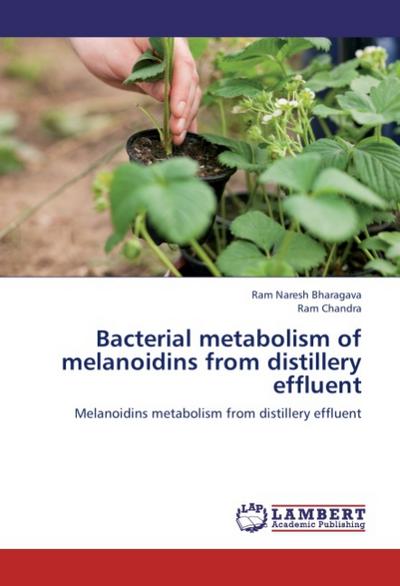 Bacterial metabolism of melanoidins from distillery effluent
