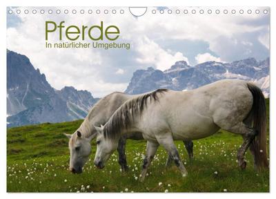 Pferde - In natürlicher Umgebung (Wandkalender 2024 DIN A4 quer), CALVENDO Monatskalender