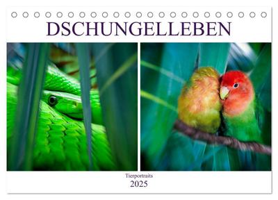 Dschungelleben - Tierportraits (Tischkalender 2025 DIN A5 quer), CALVENDO Monatskalender