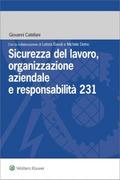 Sicurezza del lavoro, organizzazione aziendale e responsabilita’ 231