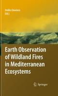 Earth Observation of Wildland Fires in Mediterrane