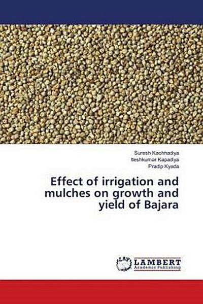 Effect of irrigation and mulches on growth and yield of Bajara