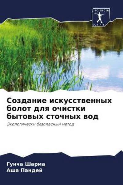 Sozdanie iskusstwennyh bolot dlq ochistki bytowyh stochnyh wod