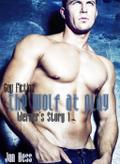 The Wolf At Play (Gay Fiction)