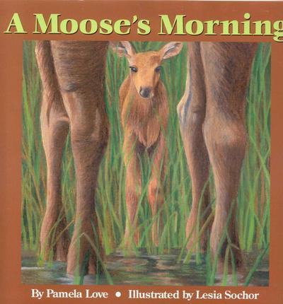 A Moose’s Morning