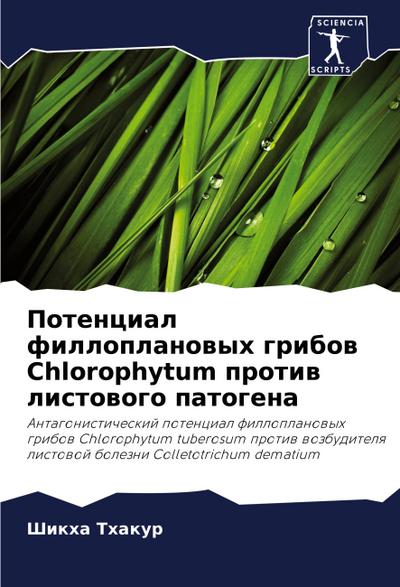 Potencial filloplanowyh gribow Chlorophytum protiw listowogo patogena
