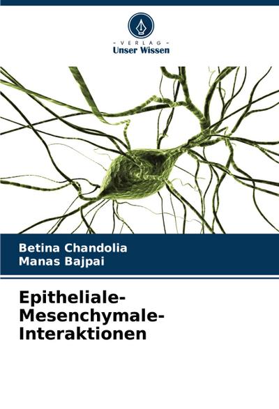 Epitheliale-Mesenchymale-Interaktionen