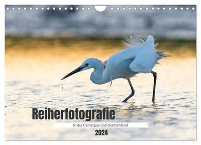 Reiherfotografie (Wandkalender 2024 DIN A4 quer), CALVENDO Monatskalender