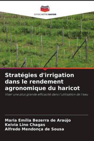 Stratégies d’irrigation dans le rendement agronomique du haricot