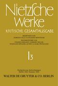 Nachgelassene Aufzeichnungen (Herbst 1862 - Sommer 1864)