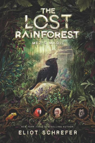 The Lost Rainforest #1: Mez’s Magic