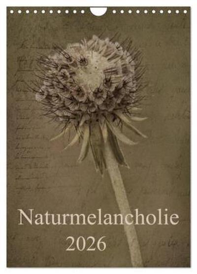 Naturmelancholie 2026 (Wandkalender 2026 DIN A4 hoch), CALVENDO Monatskalender