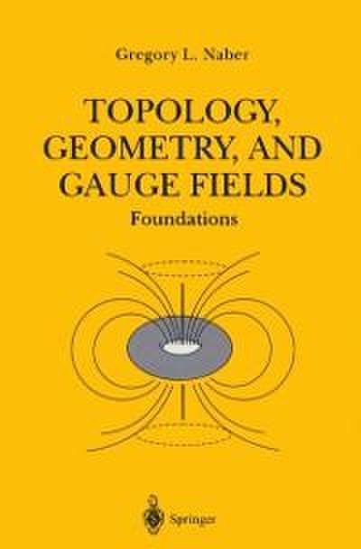 Topology, Geometry, and Gauge Fields