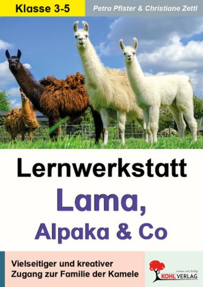 Lernwerkstatt Lama, Alpaka und Co