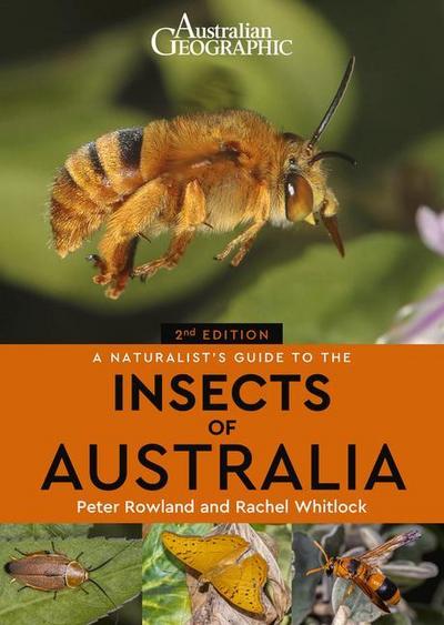 A Naturalist’s Guide to the Insects of Australia