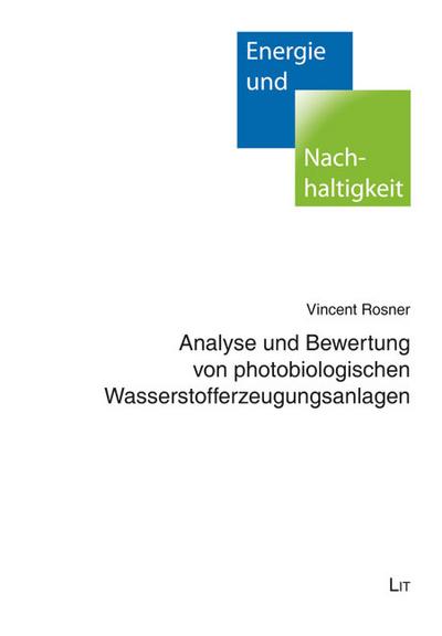 Analyse und Bewertung von photobiologischen Wasserstofferzeugungsanlagen - Vincent Rosner