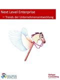 Next Level Enterprise