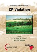 CP VIOLATION