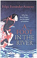 Foot in the River