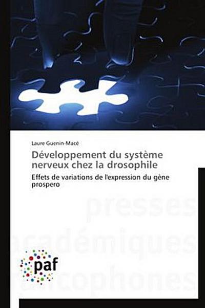 Développement du système nerveux chez la drosophile