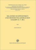 Sklaverei im spätantiken und frühmittelalterlichen Gallien (5.-7.Jh.)