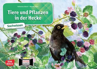 Tiere und Pflanzen in der Hecke. Kamishibai Bildkartenset