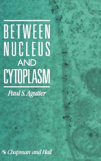 Between Nucleus and Cytoplasm