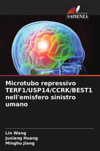 Microtubo repressivo TERF1/USP14/CCRK/BEST1 nell’emisfero sinistro umano